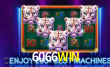 Telegram 6066WIN - Canal Oficial Verificado